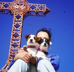 Jack Russell Terrier Allevamento Sweet Pride Calenzano