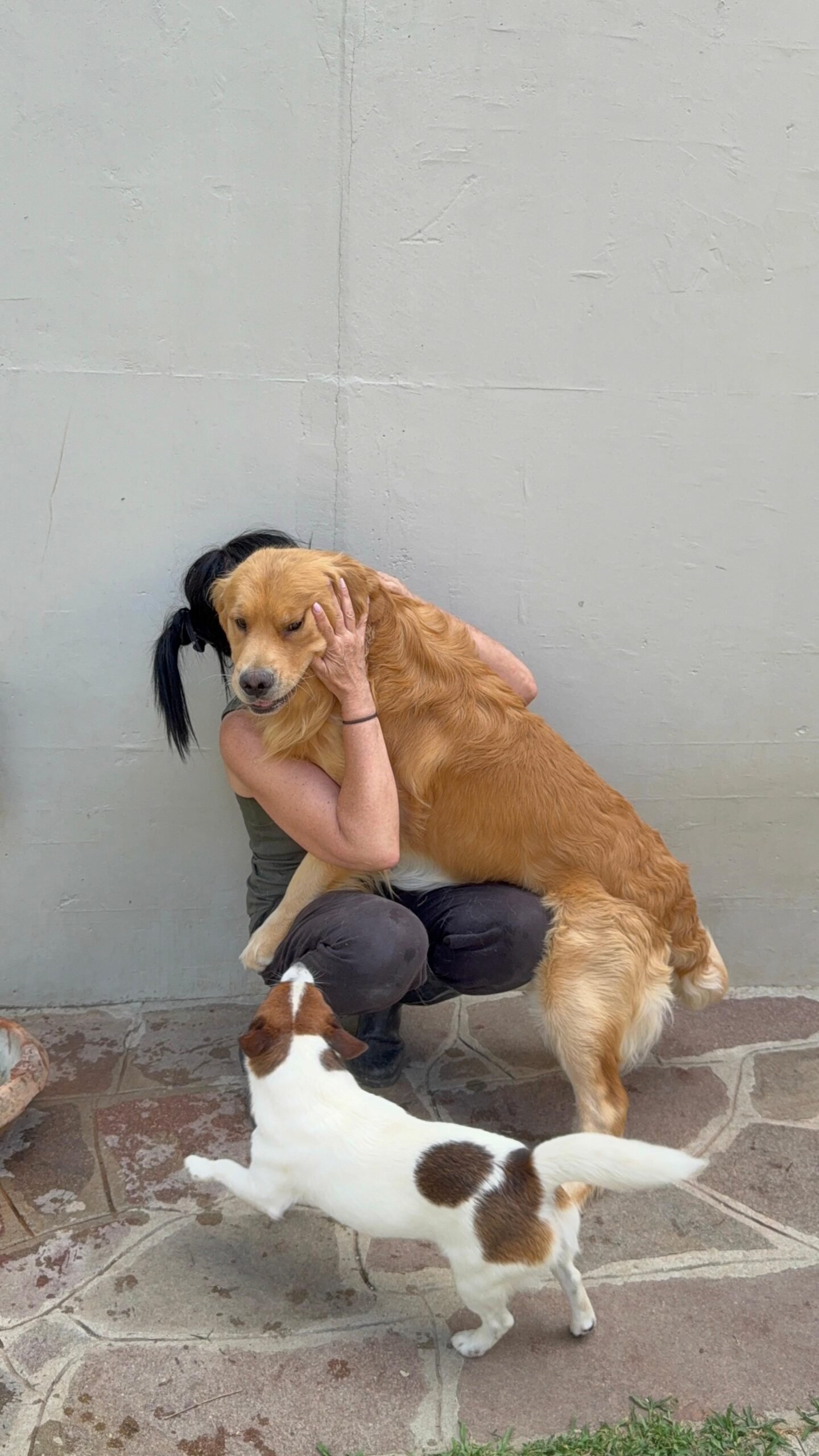 Allevamento pensione per cani calenzano