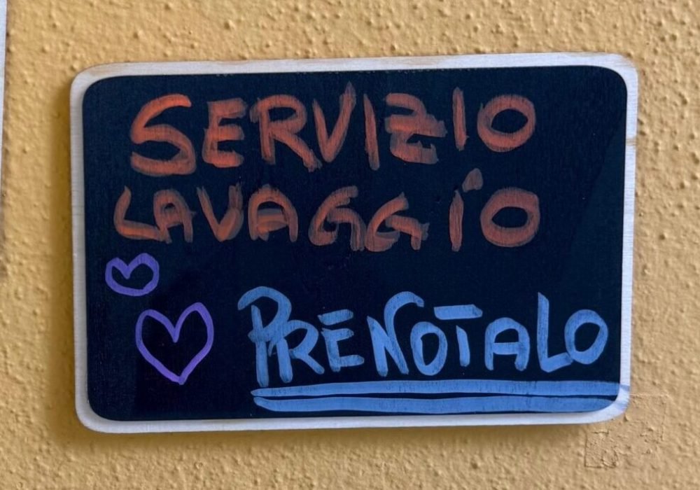 Servizio lavaggio cani Calenzano Servizio lavaggio cani Calenzano